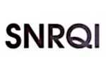 Товары бренда SNRQI